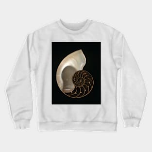 Common nautilus (C022/7617) Crewneck Sweatshirt